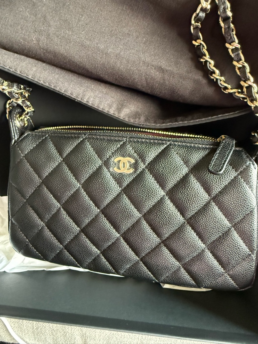 CHANEL Black Quilted Shoulder/Crossbody Bag with Gold Chain - Picture 7 of 16